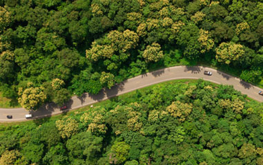 vista aérea de una carretera rodeada de árboles