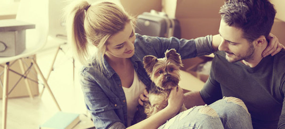 Pareja feliz acariciando a su perro